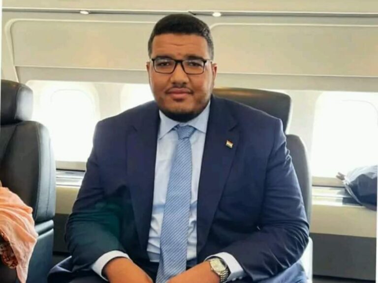 Niger: Libération de Salem Mohamed Bazoum, fils du président déchu