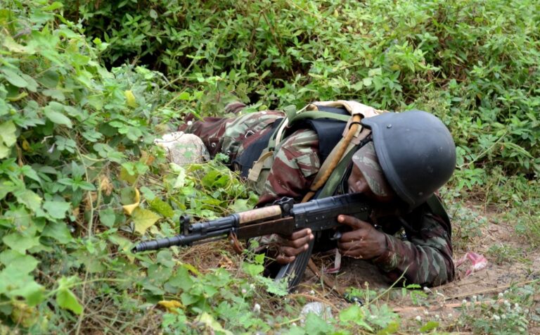 Bénin: 7 militaires et 5 rangers tués dans une attaque au parc W