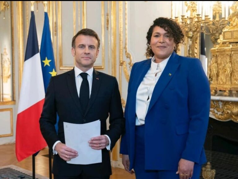 France: Corinne Brunet présente ses lettres de créance à Emmanuel Macron