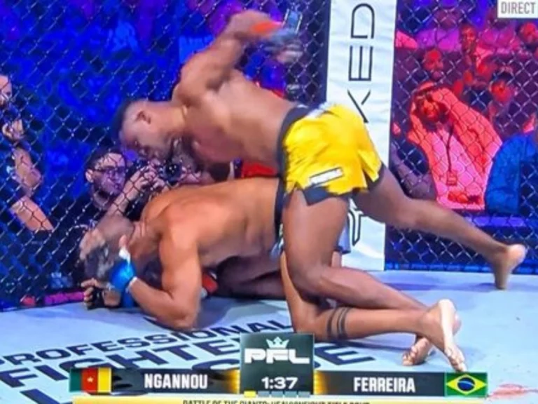 Francis Ngannou et Renan Ferreira (1)